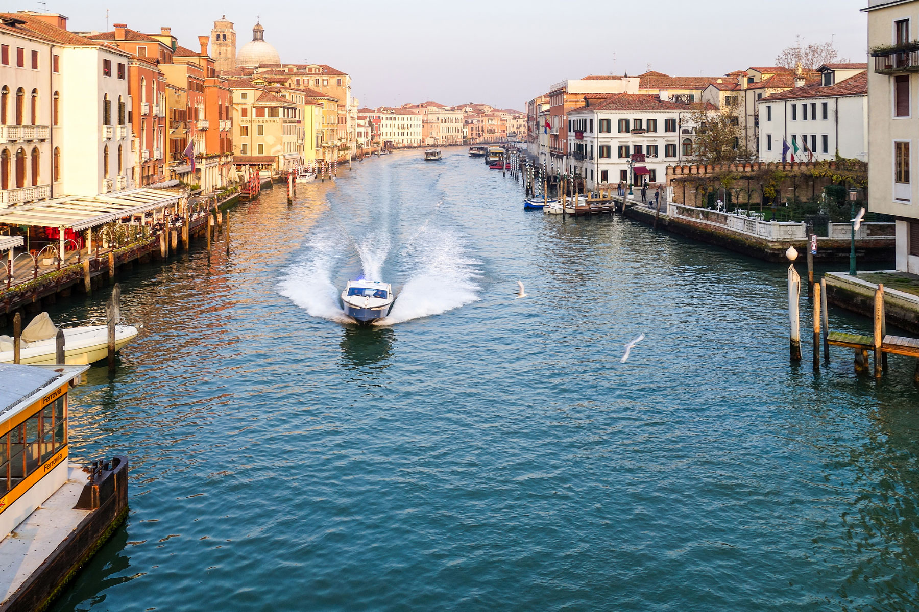 Venice (